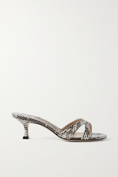 Callamu 50 Elaphe Mules