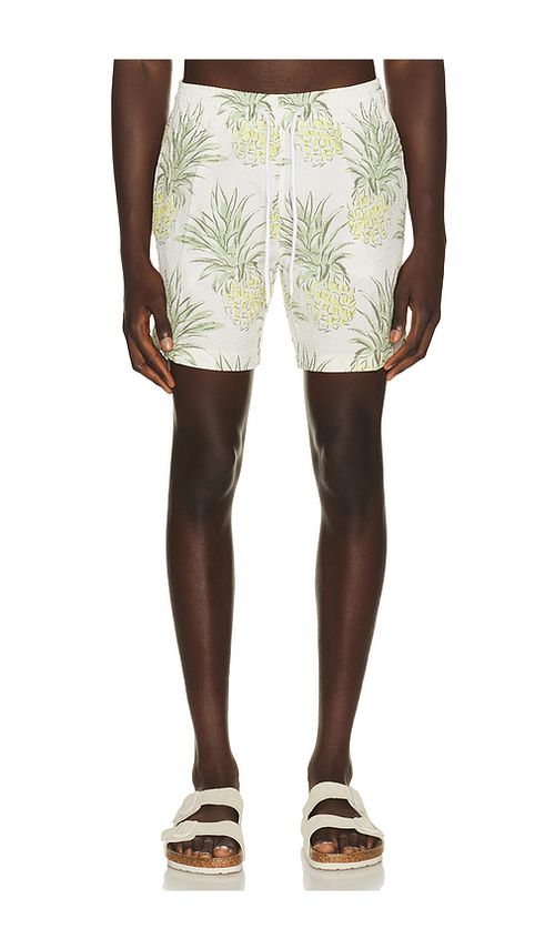 Trunks Surf & Swim Co. Sano 6.5 Swim Short in Green,White. L. Also in M, S, XL/1X