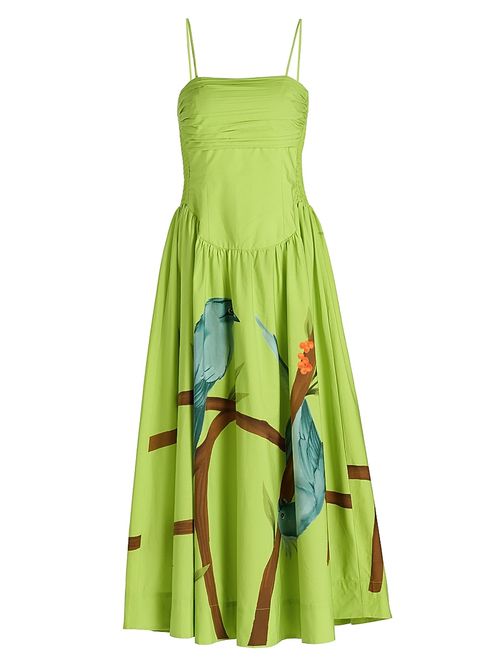 Women's Bird Print Poplin Tea-Length Dress - Green
