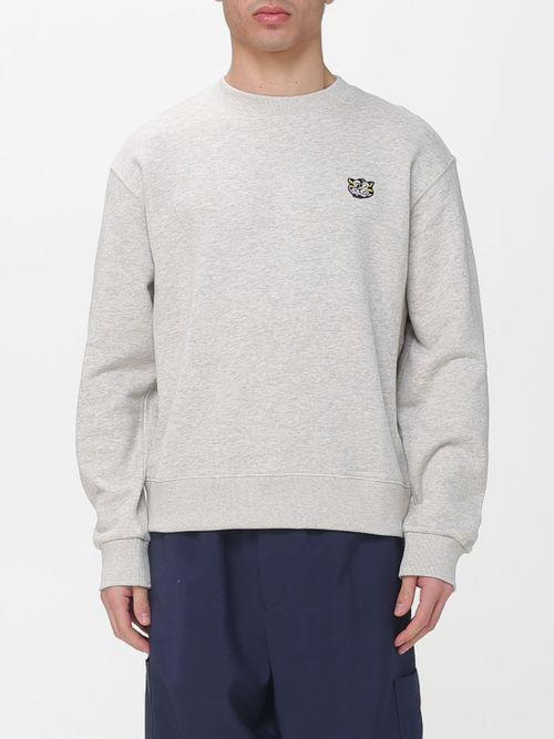 Sweatshirt Men color Grey
