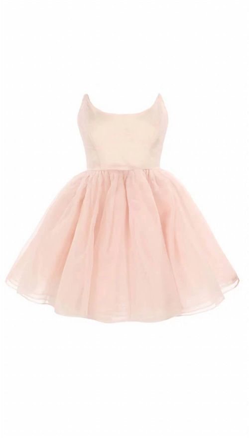 Women's Veuve Dress In Blush