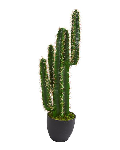 3 Cactus Artificial Plants