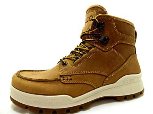 ECCO mens Track 25 High Gore-tex Hiking Boot