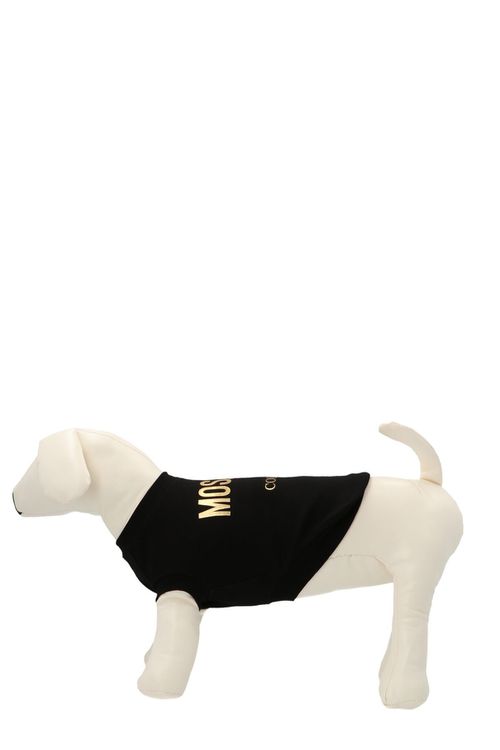 Pets Capsule Sweatshirt
