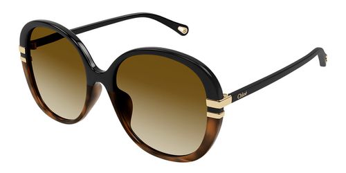 Chloé CH0207SK Asian Fit 003 Women’s Sunglasses Black Size 58