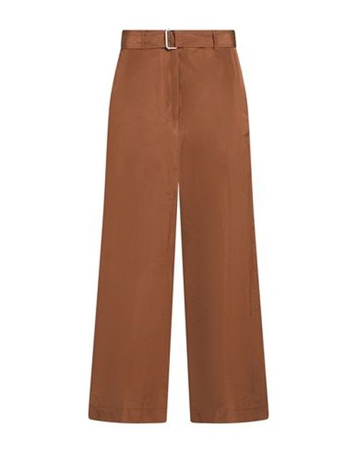 Woman Pants Brown Size 6 Cotton, Polyester