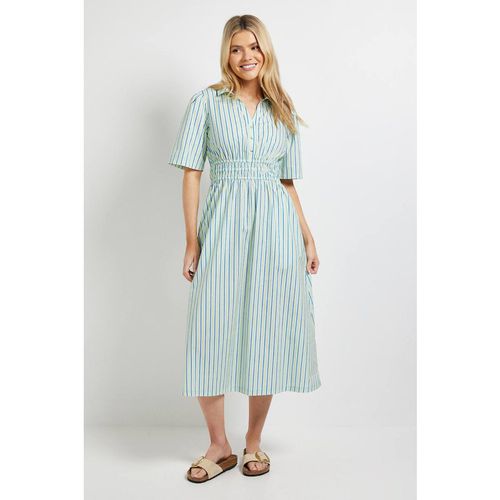 Dorothy Perkins Women's Stripe Collar Shirred Waist Detail Printed Poplin Midi Dre
