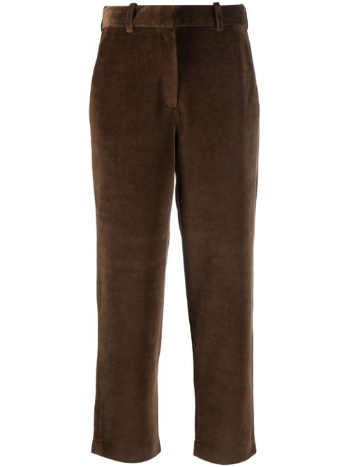 Velour chino trousers - Brown