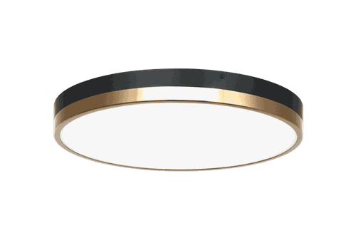 Black & Aged Gold Brass LED Flush Mount from the Tone Collection