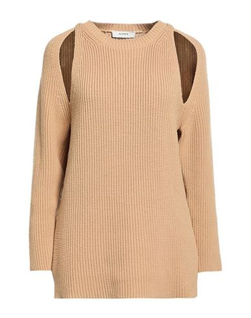Woman Sweater Camel Size 6 Cotton, Polyamide