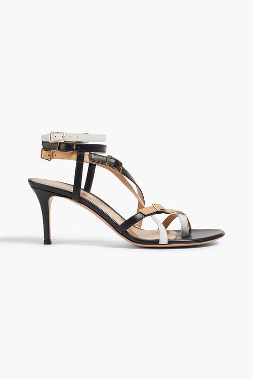 Cassandra buckled color-block leather sandals
