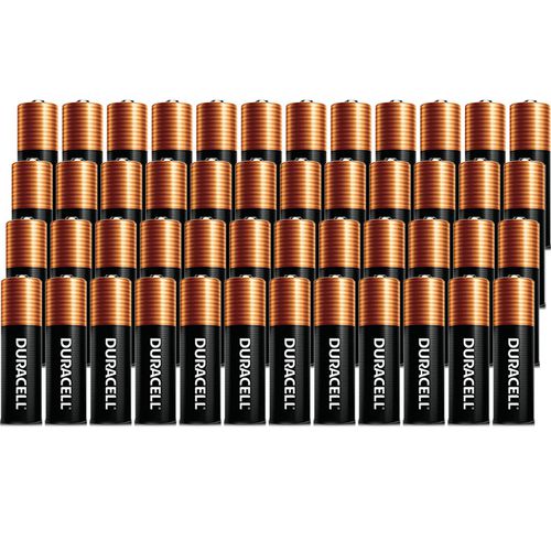 AA Coppertop Batteries (48 Pack)