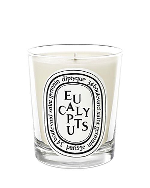 Eucalyptus Scented Candle