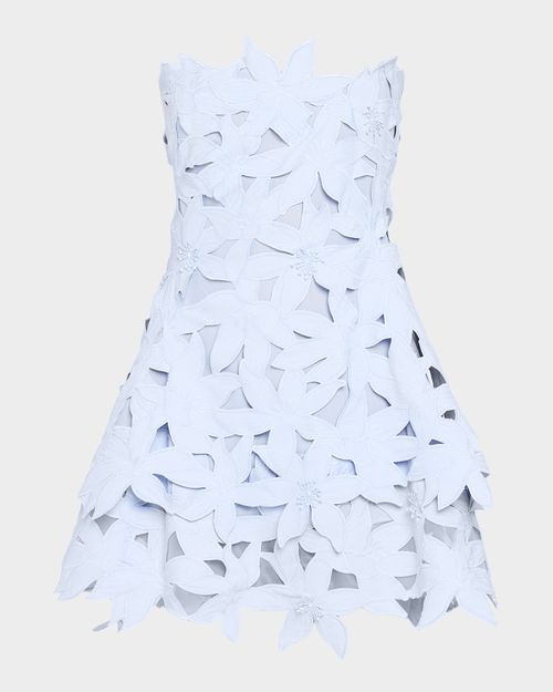 Miri Floral Embroidered Mini Dress