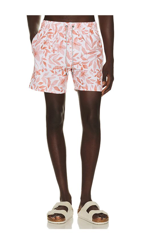Vintage Summer 4 Way Stretch Volleys in Orange. M. Also in S, L, XL/1X, XXL/2X
