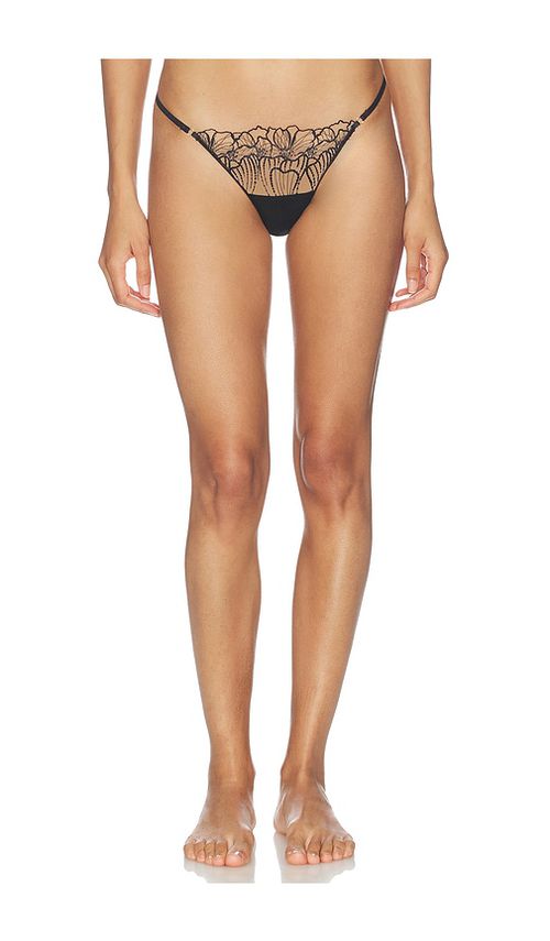 BLUEBELLA Amarosa Thong in Black. - XXS also in XS, S, M, L