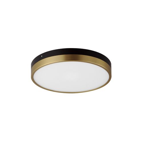 Black Antique Brass LED Flush Mount from the Dapper Collection