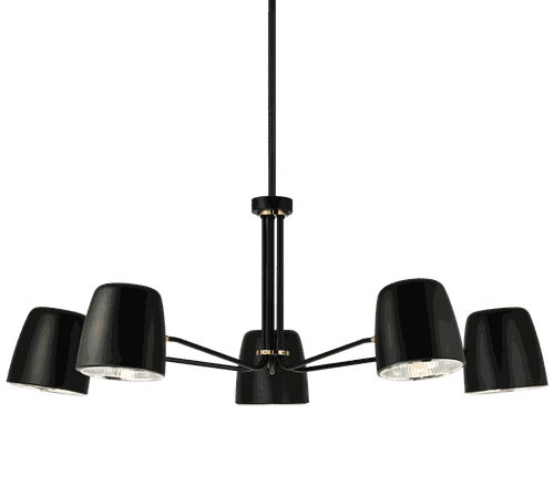 Black Five Light Pendant from the Luca Collection
