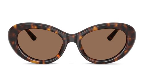 DG4519 Brown/Tortoise