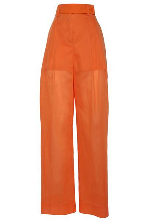 Alberta Ferretti Wide-Leg Pleated Trousers