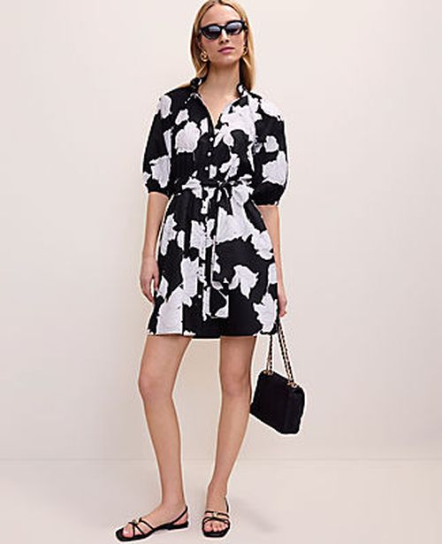 Ann Taylor Petite Floral Ruffle Collar Mini Dress