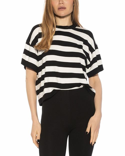 Remy Top