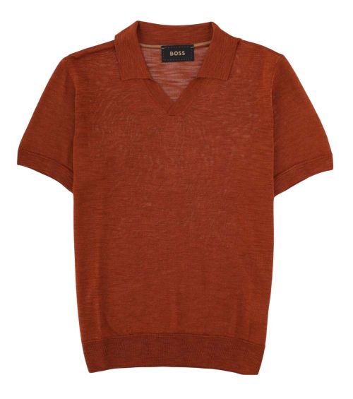 Brown Solid Shirt Collar Polo