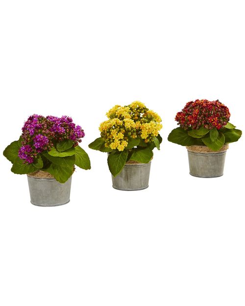 Set of 3 Kalanchoe Artificial Arrangements