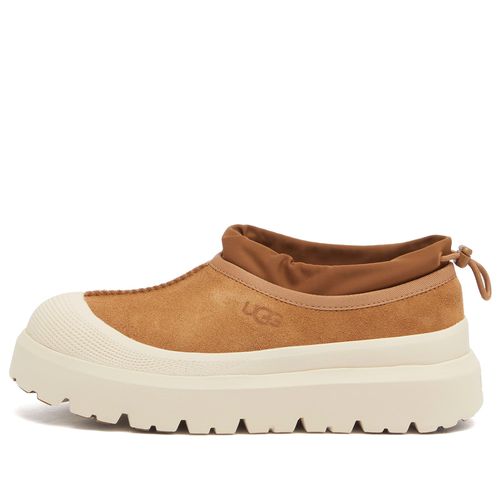 Men's Tasman Weather Hybrid Slipper in Chestnut/Whitecap