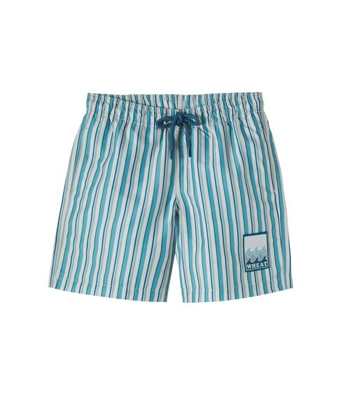 Hansi striped swim tunks