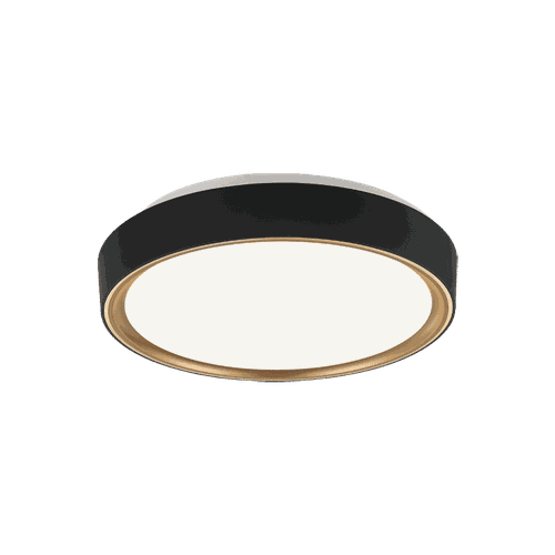 Matteo Alamus 1-Light Ceiling Light In Aged Gold Brass With Matte Black
