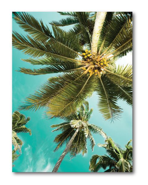 Wall Decor Palms Up Gallery-Wrapped Canvas Wall Art