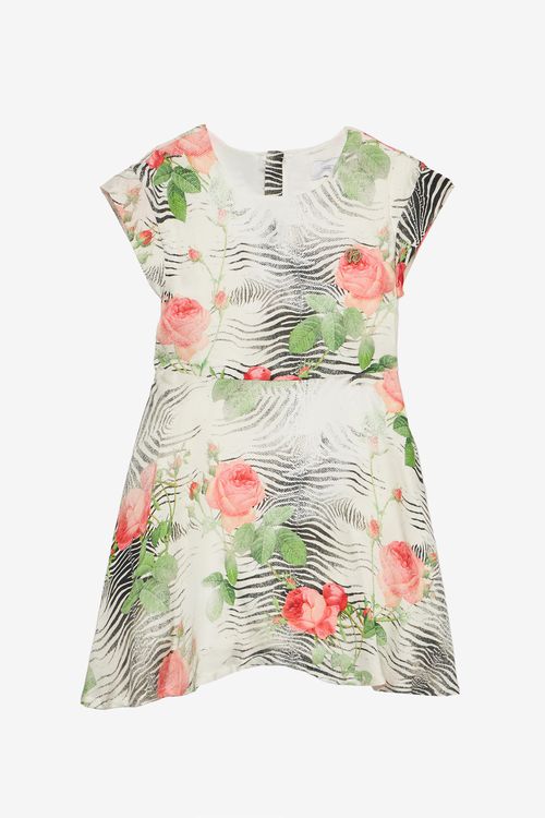 Dress With Mini Zebra And Rose Print - Female Girls (4