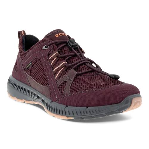 Terracruise II W - Chaussures en toile Gore-Tex pour femme - Bordeaux