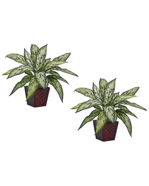Set of 2 Queen Silk Plants