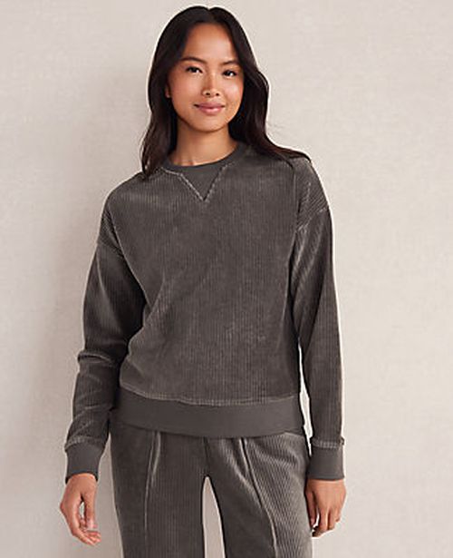 Ann Taylor Haven Well Within Corded Velour Crewneck Pullover