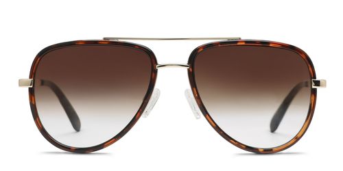 All In Tortoise