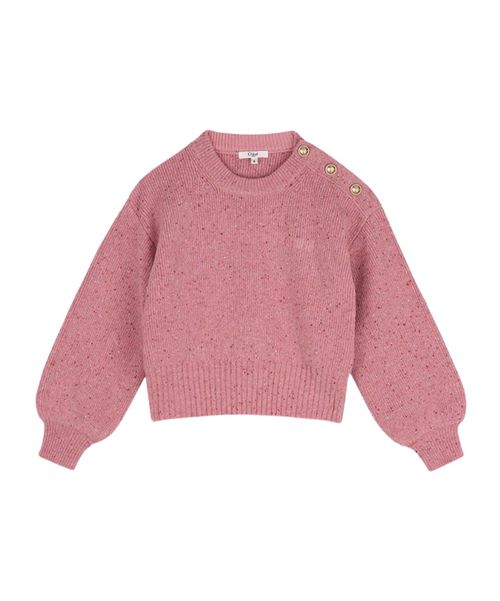 Button-detail embroidered-logo sweater