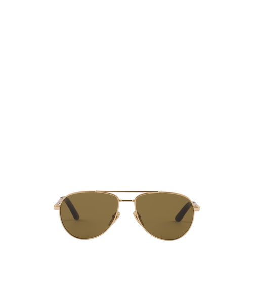 Sunglasses with iconic metal plaque