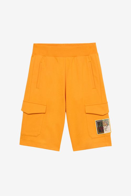 Sports Shorts With Animal Patchwork Appliqué - Male Boys (4