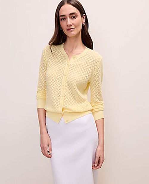 Ann Taylor Pointelle Stitch Ann Cardigan