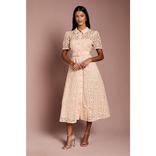 Coast Women's Petite Floral Lace Collared Midi Dress in Nude