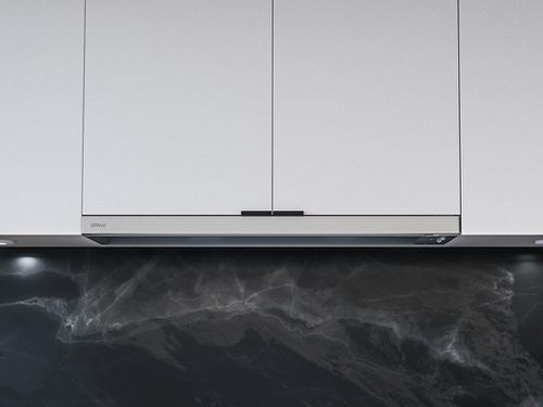 Zephyr 30" Slide-Out Hood Range Hood ZPIE30BG