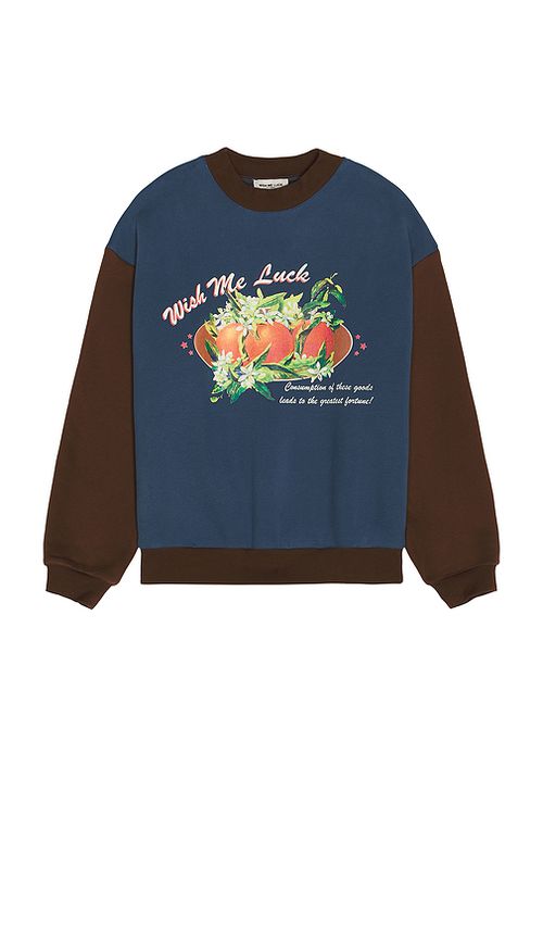 Wish Me Luck Greatest Fortune Crewneck Sweater in Blue,Brown. M. Also in XS, XL/1X
