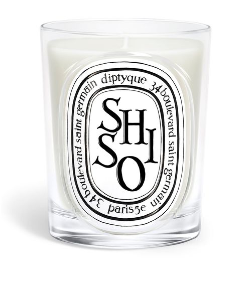 Shiso Candle