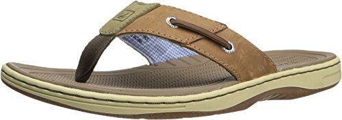 Sperry Mens Baitfish Thong Sandals