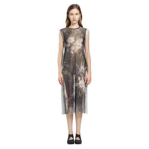 Moonlight Roses Sheer Dress