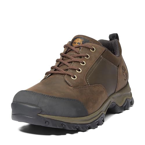 Timberland Men's Mt. Maddsen Waterproof Low Hiker Boots