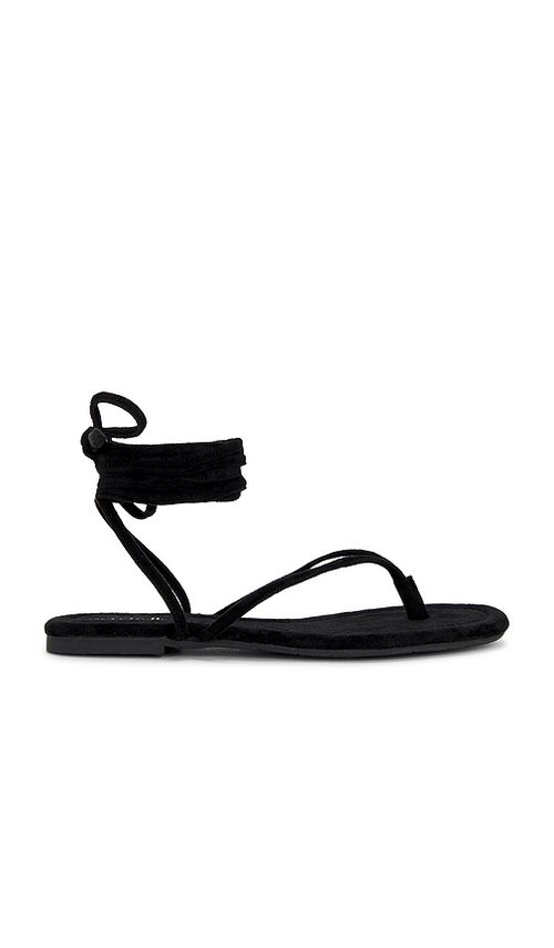 Seychelles Wander The World Sandal in Black. 10. Also .5
