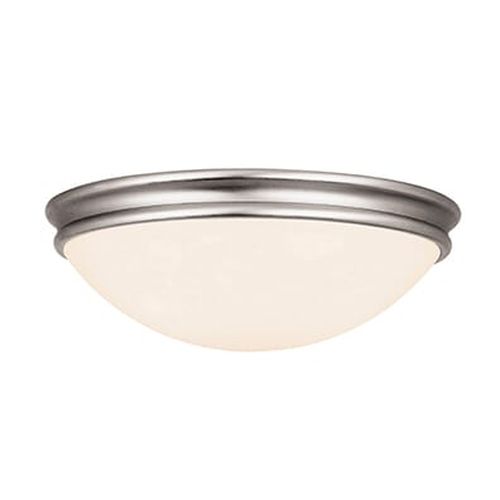 Access Atom 2-Light Ceiling Light in Brushed Stee